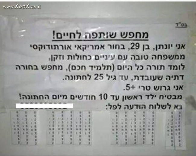 תמונת מחפש שותפה לחיים