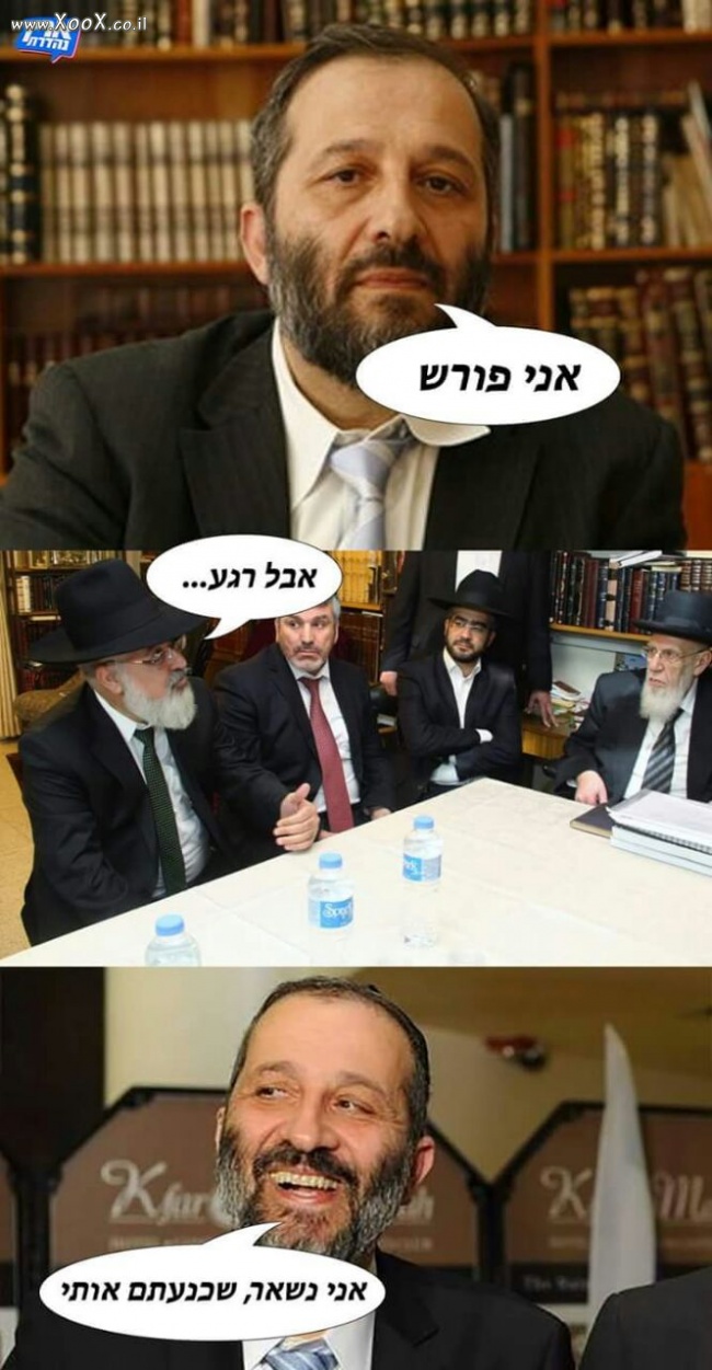 תמונת אריה דראי