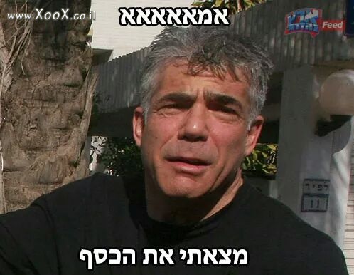 תמונת לפיד מצא את הכסף