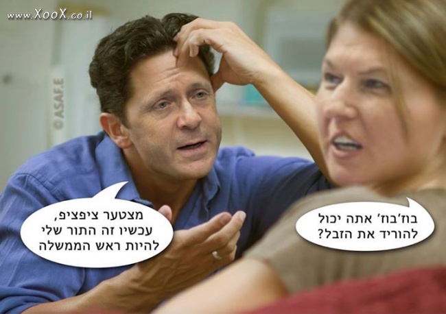 ציפי בוז'י