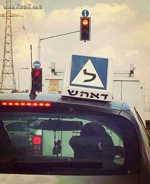 תמונת דאעש מלמדים גם נהיגה?