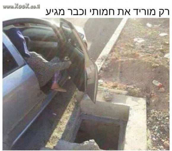 חמותי