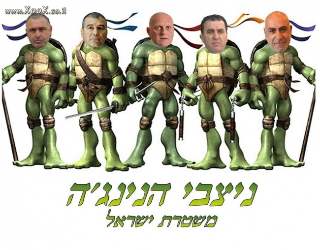 ניצבי הנינג'ה