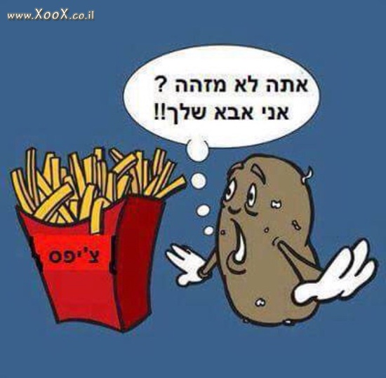 תמונת אבא תפוח אדמה