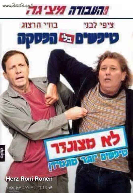 תמונת העבודה מציגה