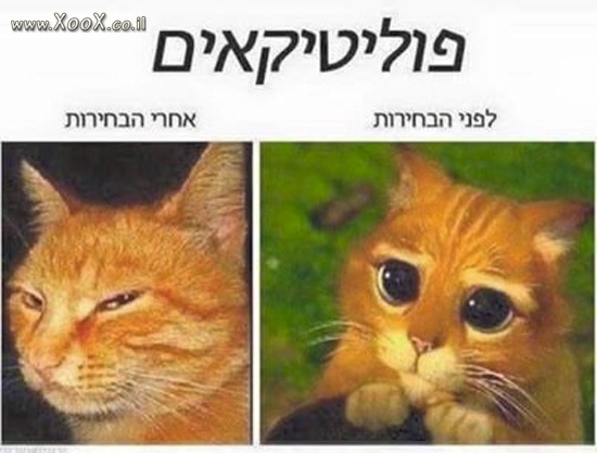 תמונת פוליטיקאים