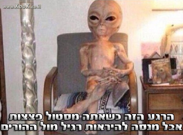 תמונת הרגע הזה כשאתה מסטול