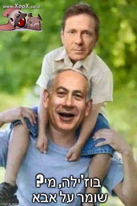 תמונת בוז'ילה