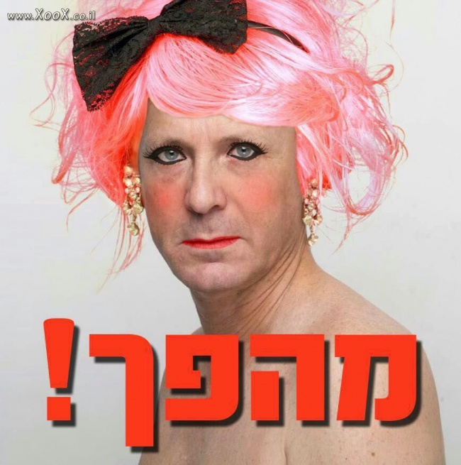 תמונת המהפך של בוז'י הרצוג