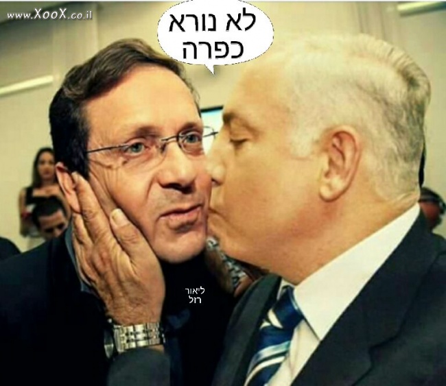 לא נורה בוז'י