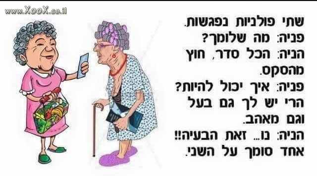 תמונת שני פולניות נפגשות