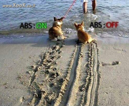 תמונת מערכת בלימת ABS לבעלי חיים