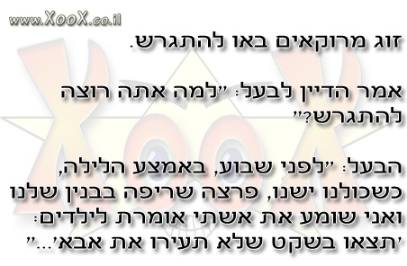 תמונת מרוקאים באו להתגרש