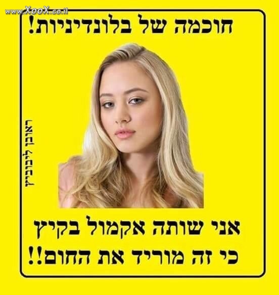 חוכמה של בלונדיניות