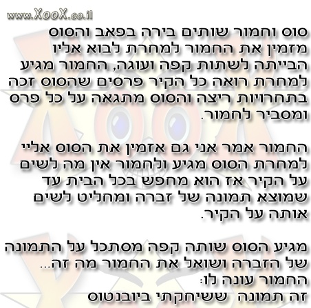 תמונת סוס וחמור