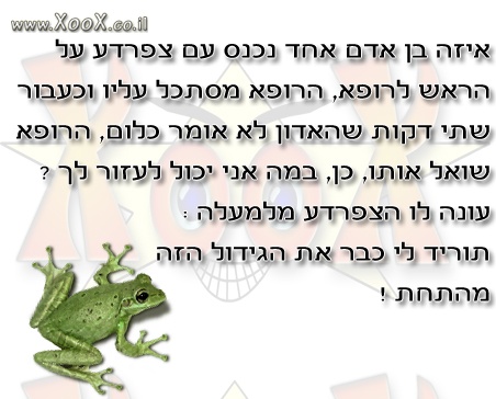 צפרדע על הראש