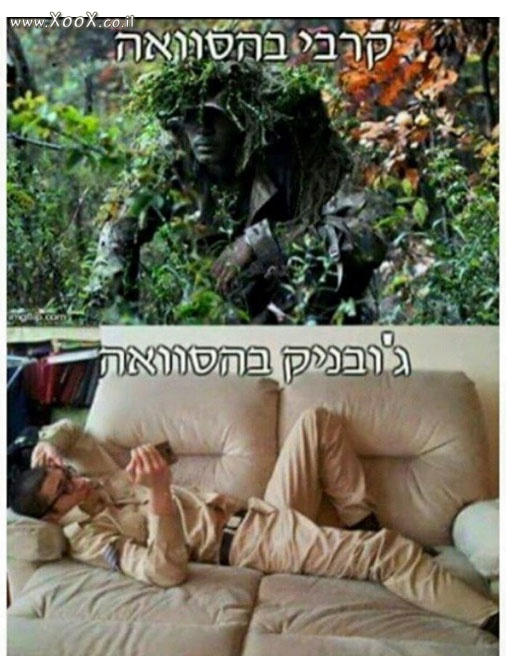 תמונת הסוואה