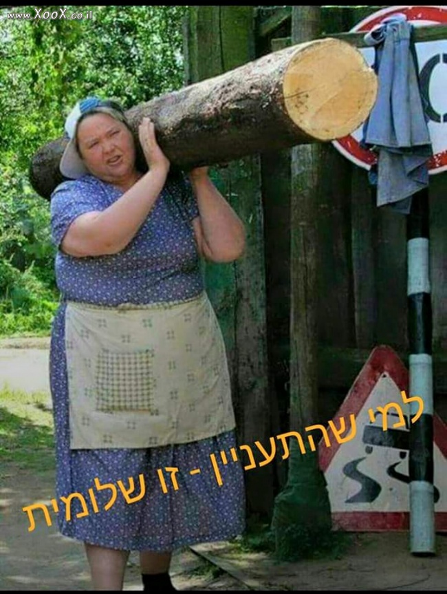 תמונת זאת שלומית שבונה סוכה