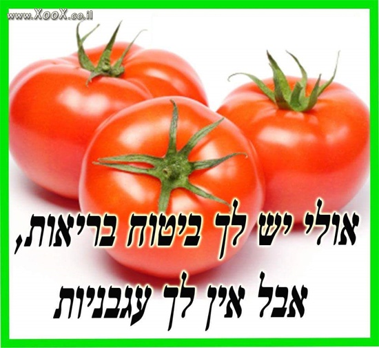 כשמחירי העגבניות עולים