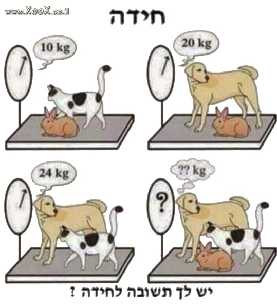 חידה