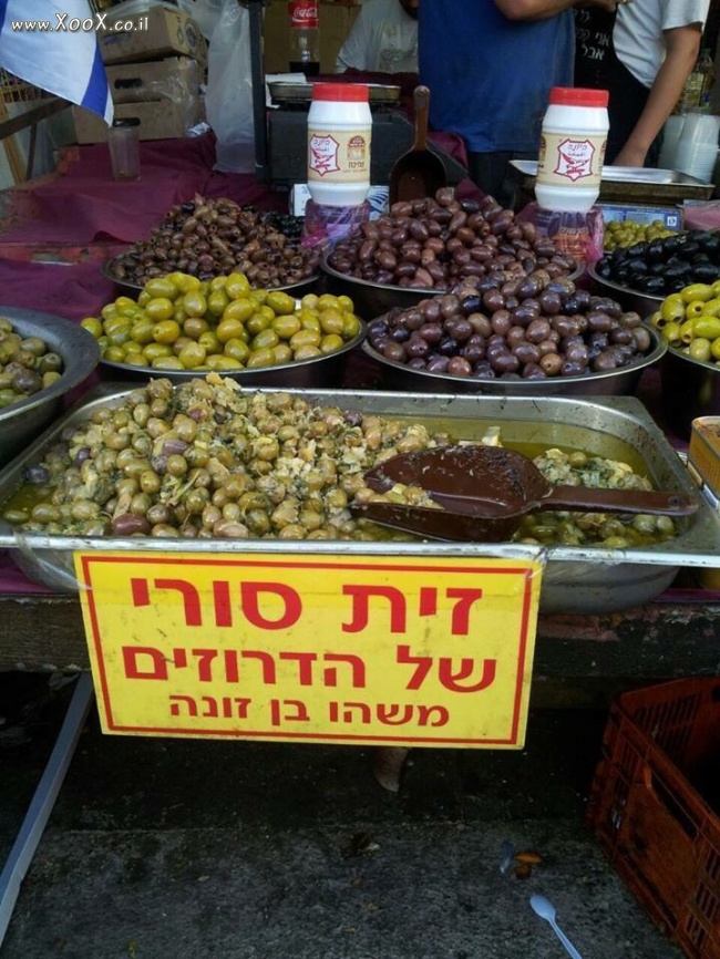 תמונת זית סורי