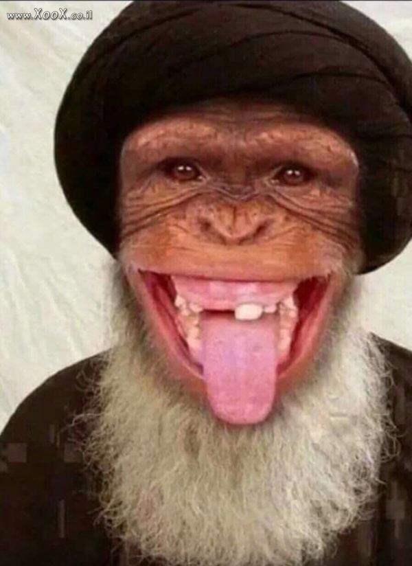 תמונת קוף מאמין