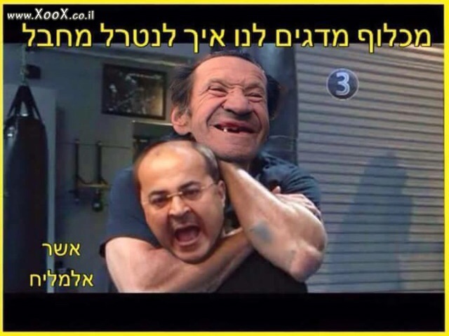 איך לנטרל מחבל