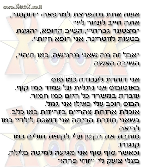  רופא חיות