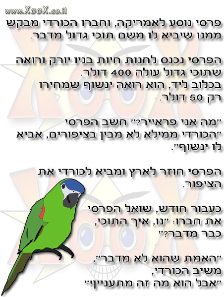 תמונת תוכי גדול מדבר