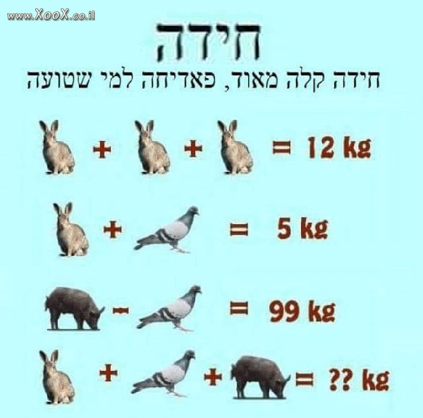 חידה