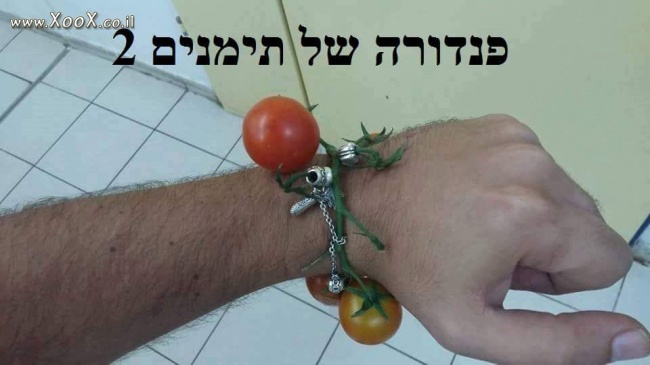 תמונת פנדורה של תימנים