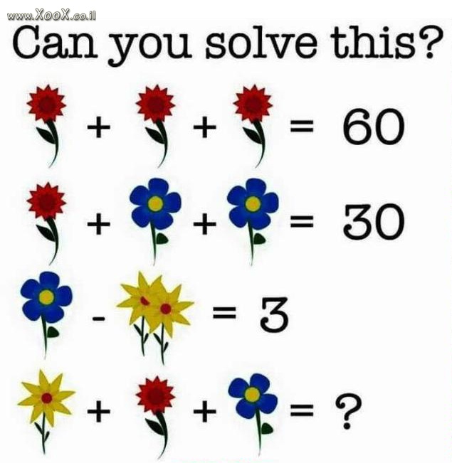 יכול לפתור את זה ?
