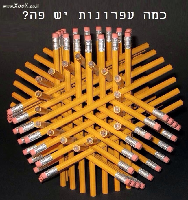 כמה עפרונות יש בתמונה?