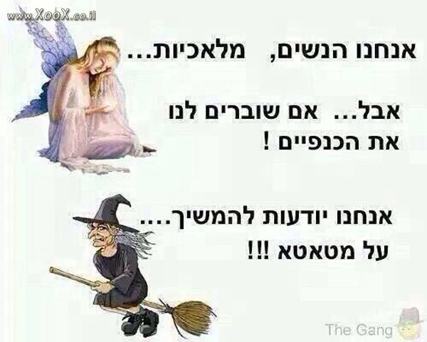 הנשים המלאכיות