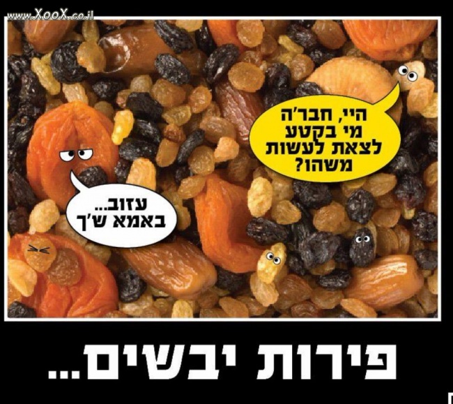 תמונת פירות יבשים