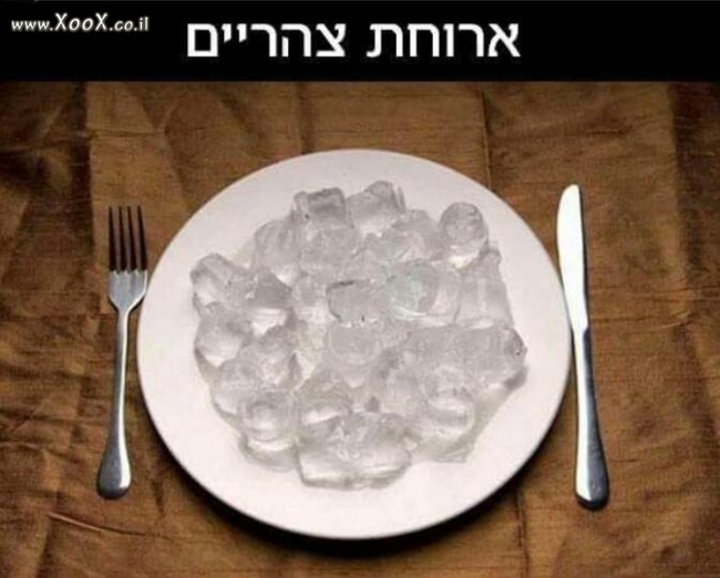 ארוחת צהריים