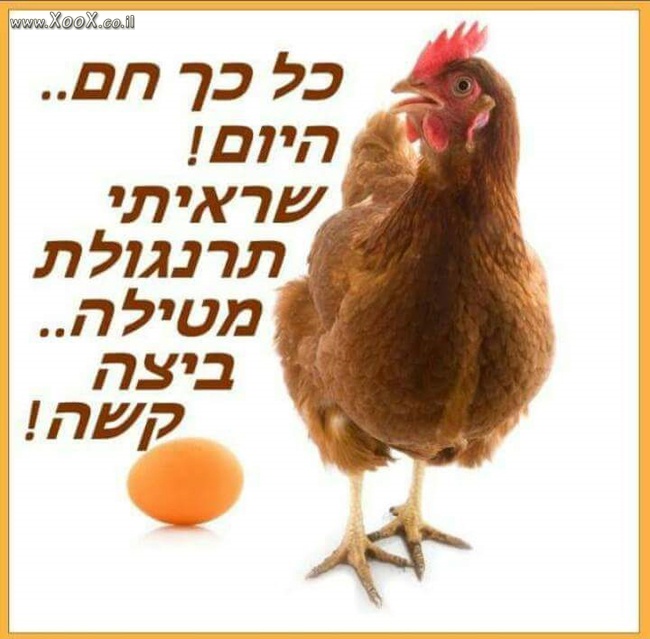 כל כך חם...