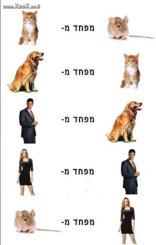 טבלת הפחד