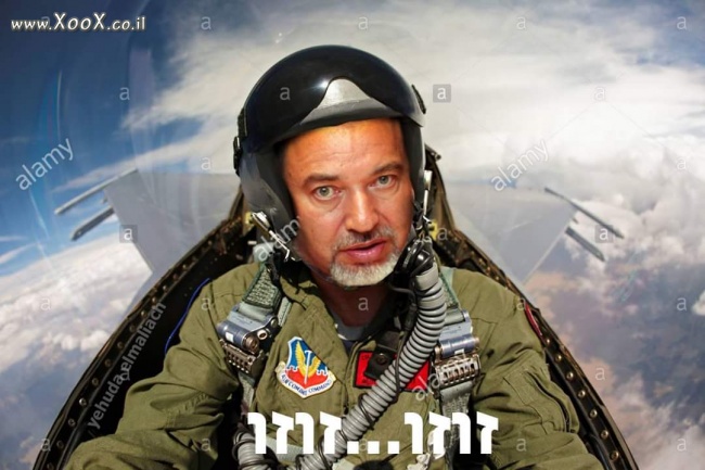 תמונת ליברמן ז'וז'ו