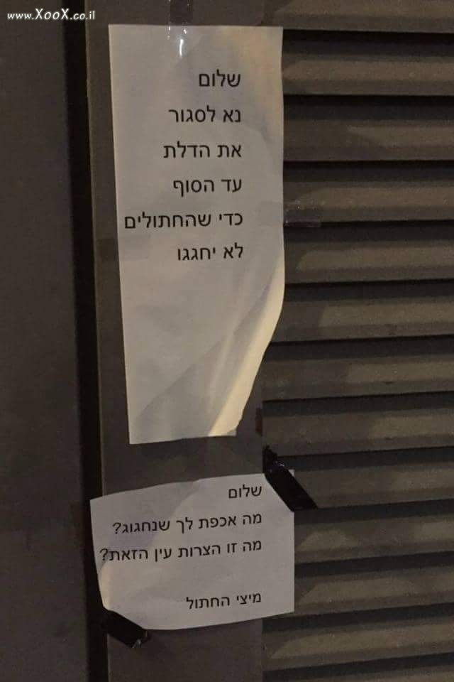 תמונת הודעה לחתולים