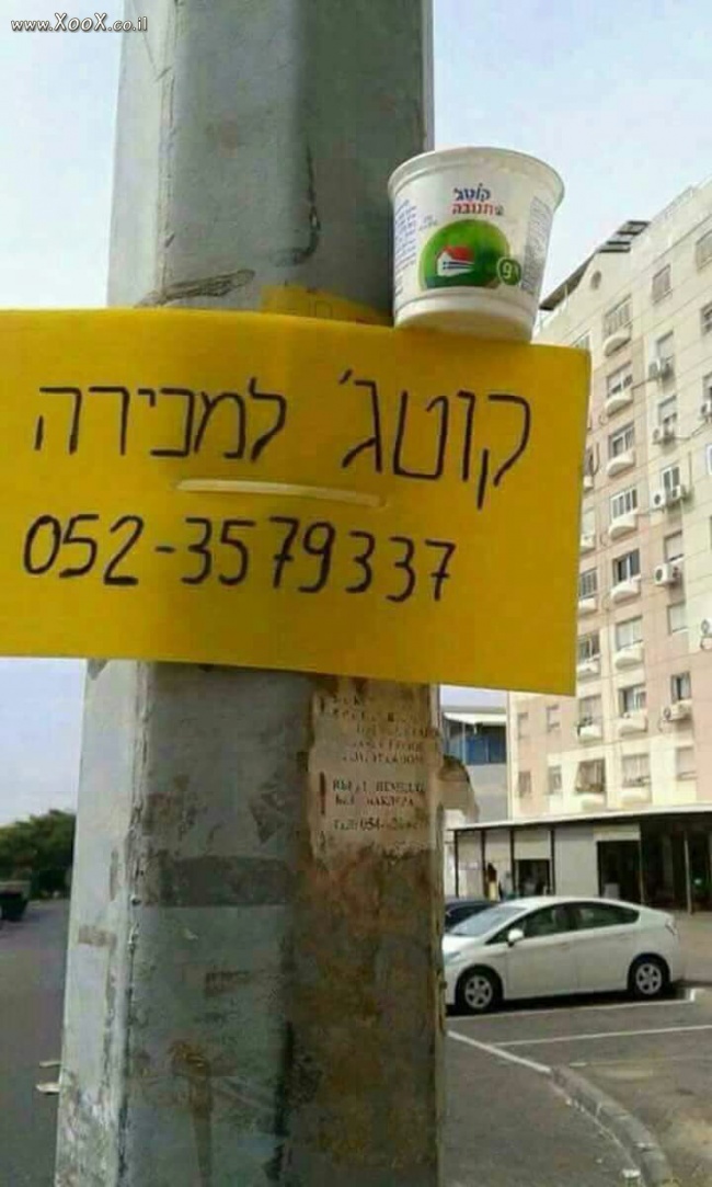 תמונת קוטג למכירה