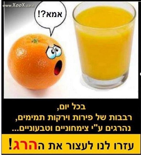 תמונת נגד צמחוניים