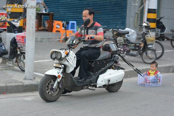 תמונת אב השנה