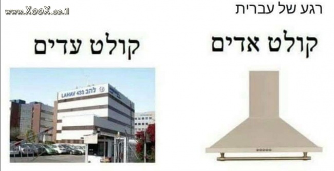 תמונת הקולט!