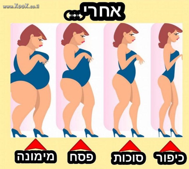 תמונת הליכי החגים