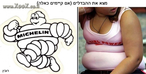 צמיגי מישלין, מצא את ההבדלים