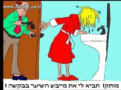 תמונת מייבש שיער