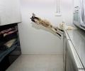 תמונות מצחיקות סופר חתול