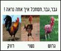 איך הגבר נראה?