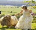 תמונות מצחיקות שמלת כבש